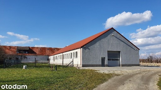 Hala ok. Tworzyjanowa trasa Świdnica/Wrocław