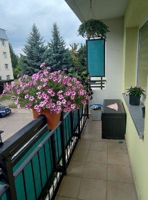 Mieszkanie 3 pokoje plus salon z aneksem - 1 piętro - do zamieszkania