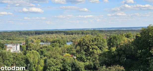 Działka ROD domek o górskim charakterze widok na Odrę i jezioro Dąbie