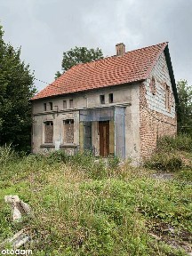 Działka 7325 m2 + budynek do remontu w Gadom - blisko jezior i miast