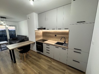 Stylowe i komfortowe w nowoczesnym stylu | parking | balkon | od zaraz lub 01.09. | Smart Home | Rataje, ul. Bielerzewskiej, nowy blok