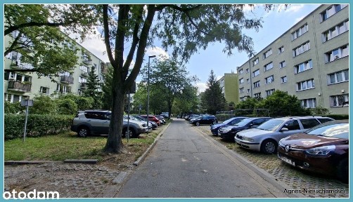 Warneńska, Stegny, Mokotów, Warszawa, mazowieckie