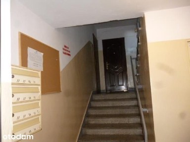 Do Wynajecia Mieszkanie W Mławie Na Osiedlu Młodyc