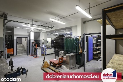 Obiekt na wynajem/ Miedzyń/ produkcja