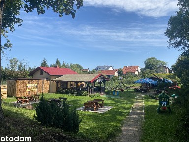 Mazury! Smażalnia ryb na sprzedaż
