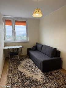 Jeżyce, ul. Norwida, 2 pokoje, od zaraz