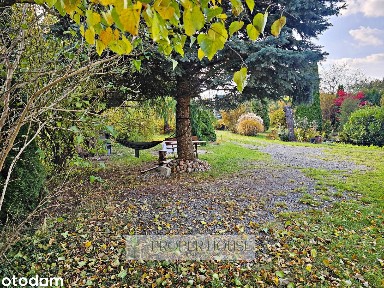 Dom z potencjałem biznesowym i ogrodem 3400 m² - gm. Wólka