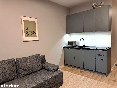 MIESZKANIE W CENTRUM PRZY PARKU Z KOMÓRKĄ LOKATORSKĄ