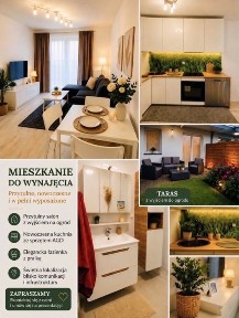 Do wynajecia 01.10.2026 mieszkanie 2 pokoje