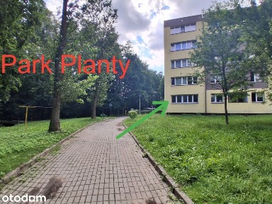 2 pokoje| Mikołów|Os.przy Parku Planty.