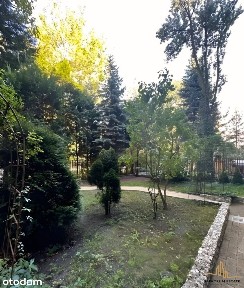 Kawalerka W Świetnej Lokalizacji!