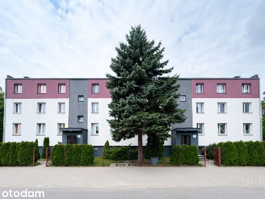 Mieszkanie 64 m² 3 pokoje Czernikowo