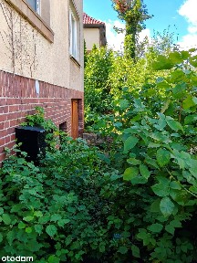 Willowe - Apartament do remontu - okolice Radia i Telewizji