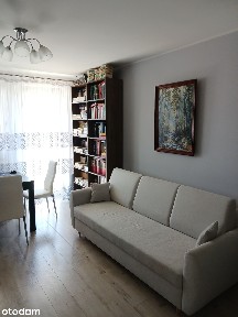 Mieszkanie do wynajęcia od października 2026 r.