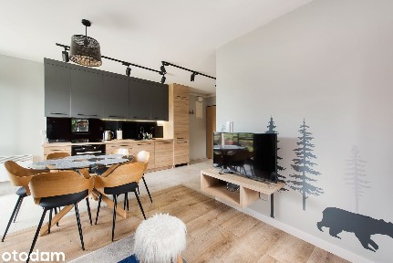 Kościelisko I Dwupoziomowy apartament z MP I wyposażony I do wejścia I