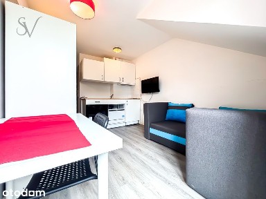 2200 ALL | Zmywarka | Piekarnik | TV | Pets | ENG