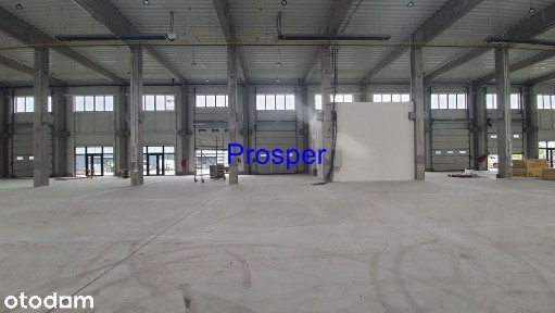 nowe hale/ brama 4,20 x4,20/ wys.8,40m