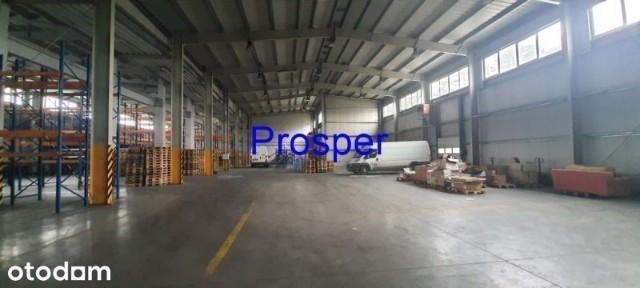wys. 9m, bramy 0. opcja 1000m2