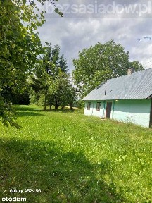Siedlisko na Podlasiu z dużą ilością zieleni