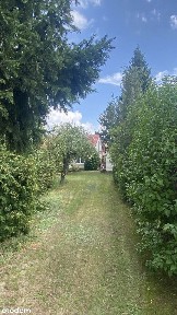 Dom wolnostojący z budynkiem gospodarczym i ogrodem