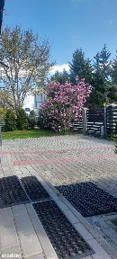Dom na sprzedaż: Rzeszów, ul. Miła - 6 pokoi, fotowoltaika, 2 garaże