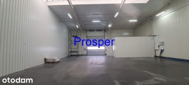 brama 0, hala 240m2 +biuro socjal 52m2