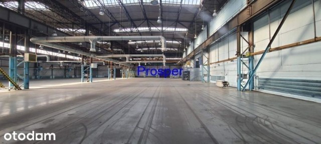 Produkcja 20Mw, 3000 do 6000m2 bramy 0