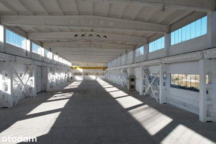 Hala, 1800m2, CO, 10t/m2, suw. 5T, plac 1ha
