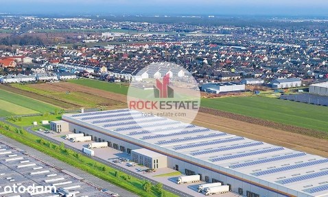 Magazyn 15 tyś m2 k. Poznania - 0% prowizji