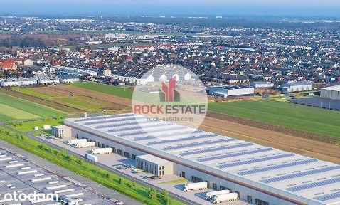 Magazyn 15 tyś m2 k. Poznania - 0% prowizji