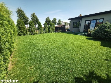 Dom parterowy z ogrodem - 95 m² | Wynajem | Skórzewo, ul. Cytrynowa 1