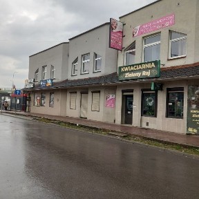 Lokal do wynajecia