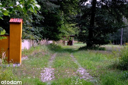 Posiadłość w lesie, własny staw, stajnia dla koni