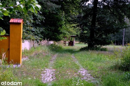 Posiadłość w lesie, własny staw, stajnia dla koni
