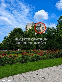 2 pokoje z balkonem Chorzów Różana 2