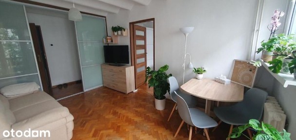 2 pokoje z piwnicą w świetnej lokalizacji
