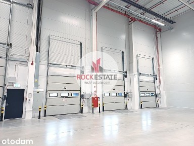 Magazyn 3820 m2 w Legnicy od zaraz - 0% prowizji