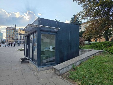 Kwiaciarnia pod Palmą - Nowy Świat