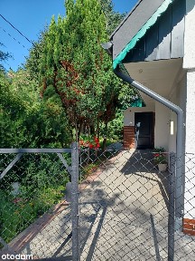 Dom w otoczeniu zieleni.
