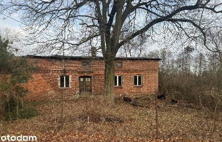 Sprzedam siedlisko 4300 m2