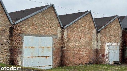 Magazyn 5970m2, 1/2, udziału Mazowieckie Sochaczew