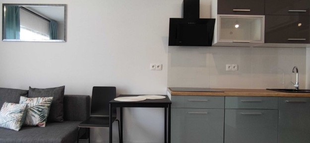 Łokietka/Bogusława X#ścisłe centrum, kawalerka/osobna sypialnia, apartamentowiec