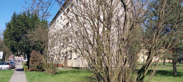 Mieszkanie na sprzedaz