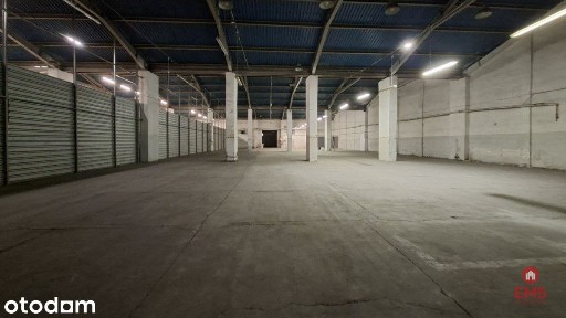 Hala-magazyn z rampą 1200 m2