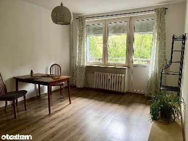 Do wynajęcia 2-pokojowe mieszkanie z balkonem przy ul. Św. Rocha