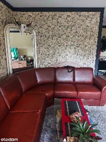 3 pokojowe mieszkanie na Grunwaldzie ul. Palacza - bez pośrednika