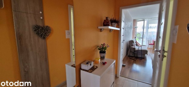 Mieszkanie 2-pokojowe z balkonem w Gdańsku
