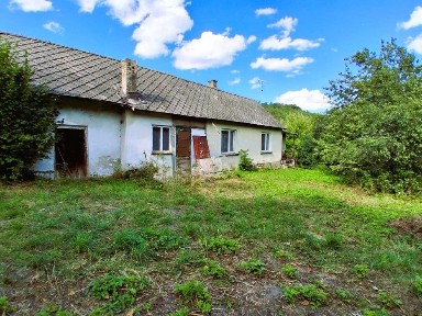 Domek na dużej działce Częstochowa, Jura Krakowsko-Częstochowska, Złoty Potok, Gorzków Stary gmina Niegowa powiat Myszków