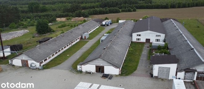 Syndyk sprzeda budynki, urządzenia, prawo użytkowania wieczyst. gruntu