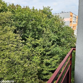 Jasne i ustawne 3 pokoje Bytom, ul. Chorzowska 45